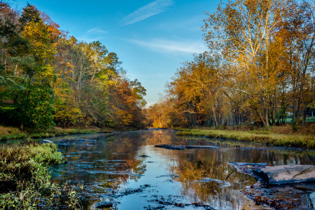 istock Autumn foliage reflected on the water in Bucks County, Pennsylvania 879454706