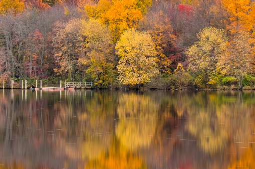 The beautiful fall foliage, with the colorful trees reflected on the water of a creek, in a gorgeous day of autumn in Bucks County, Pennsylvania.