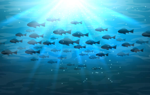 1,400+ Fish Eggs Underwater Stock Photos, Pictures & Royalty-Free Images -  iStock