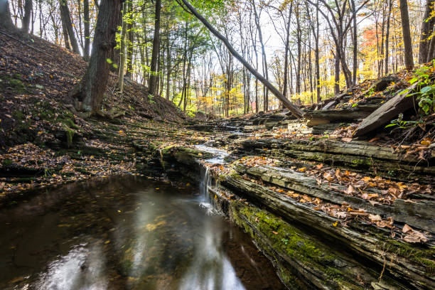 istock Autumn in Pennsylvania 879460458