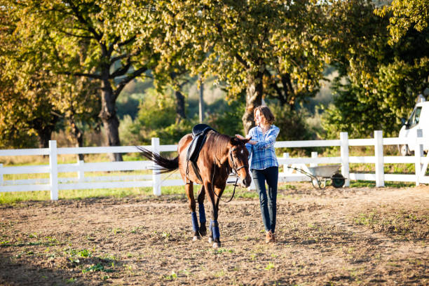 istock Beautiful girl with horse 879471412
