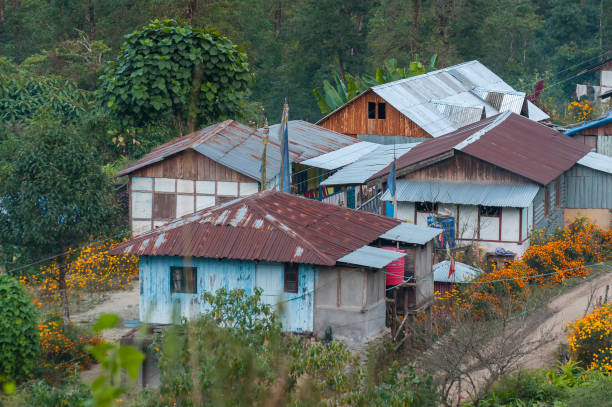 silerygaon village, sikkim - western usa mountain peak landscape farm imagens e fotografias de stock