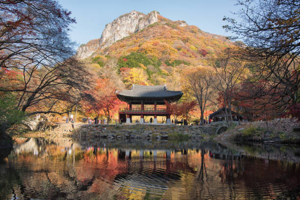 istock Late Autumn in Korea 879482076