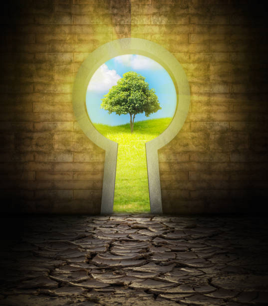 istock View from drought to green nature through the keyhole. 879489432
