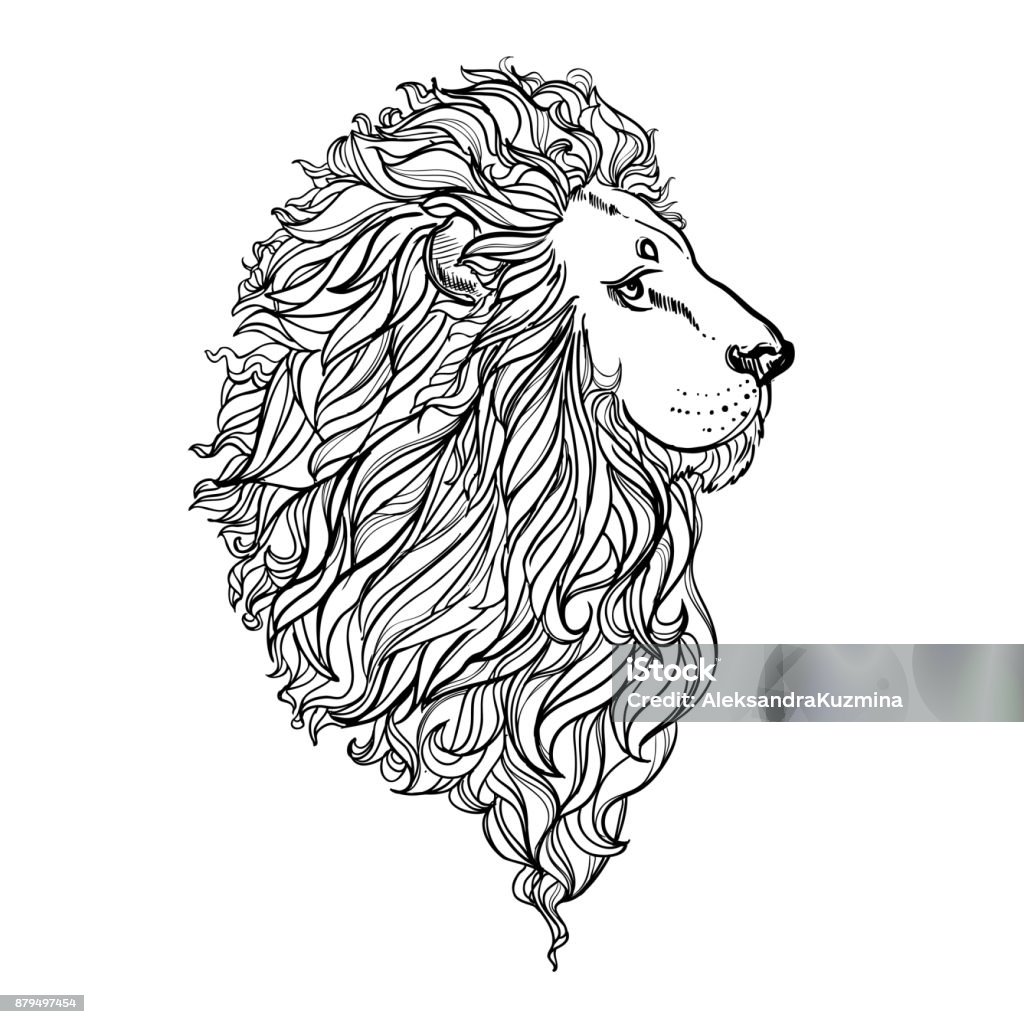 Hand drawn vector illustration of doodle lion. sketch. Vector eps 8 Drawing - Art Product stock vector