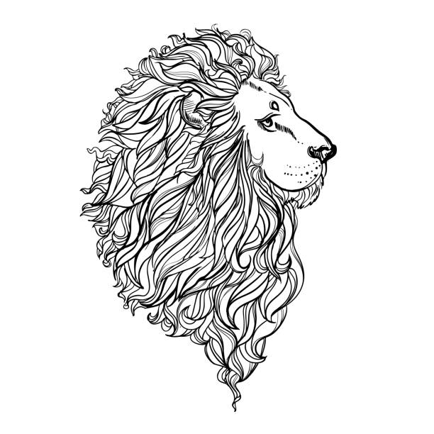 Hand drawn vector illustration of doodle lion. sketch. Vector eps 8 Hand drawn vector illustration of doodle lion. sketch. Vector eps 8 elephant drawings stock illustrations