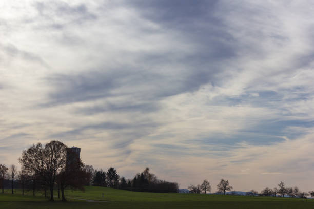 Green field lawn and autumn sunset forest with green trees