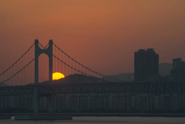 istock Gwangan Bridge in Busan, South Korea, at sunset 879500112