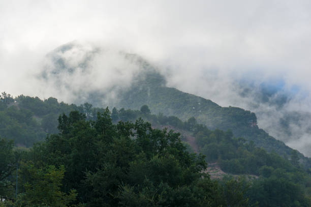 istock Mountain forest on cloudy, fog day 879510364