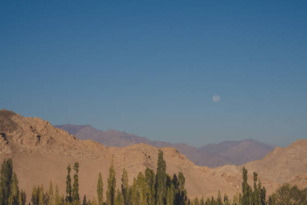 istock Landscape mountain image , trees with the moon in clear blue sky background 879524290