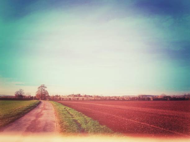 istock Heavily filtered dreamlike rural landscape 879526432