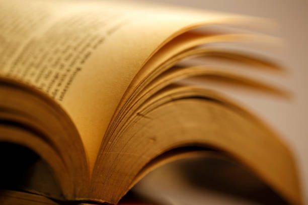istock Detail of pages an old book 879529840