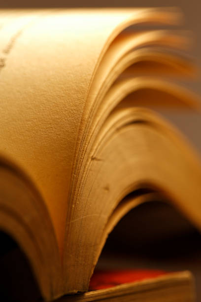 istock Detail of pages an old book 879532446