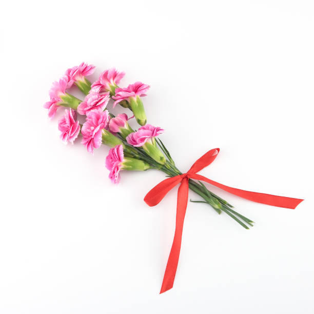 Pink carnation flowers bouquet on white background