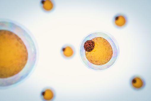 campo de las células de grasa, render 3d de alta calidad de las células de grasa, colesterol en las células de un photo