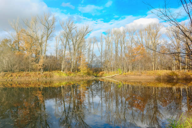 istock Forest lake in autumn forest 879562462