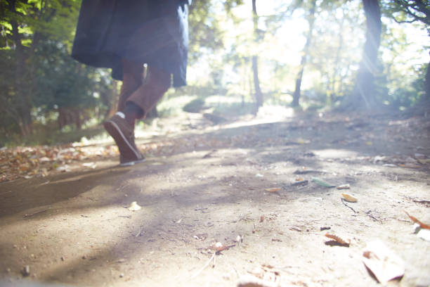 istock young man walking through the woods lit with sunshine 879579730