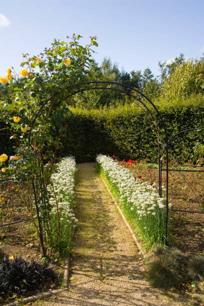 istock Lush green English cottage garden 879588314