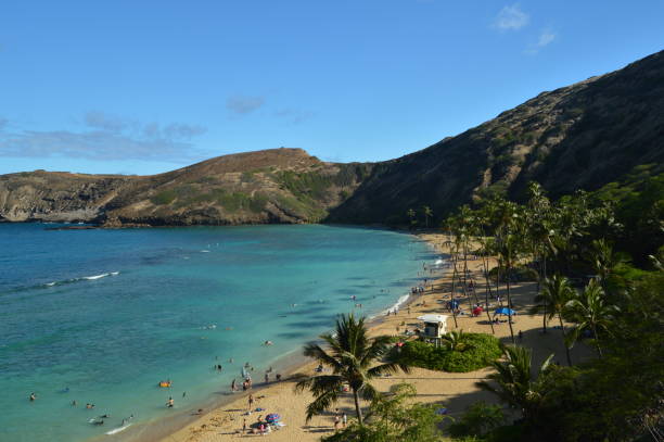 istock Honolulu Beach With Large Reefs Full Of Precious Fish 879588506