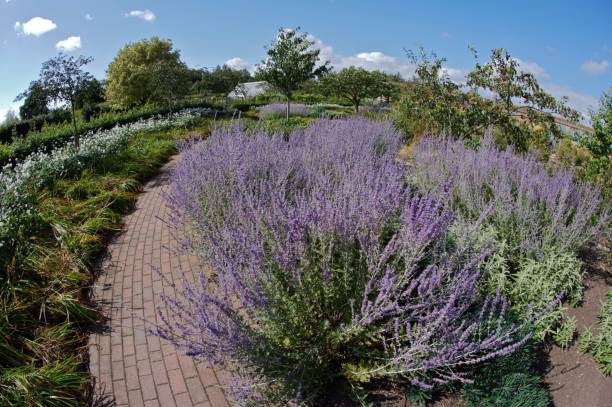 istock Lush green English cottage garden 879588704