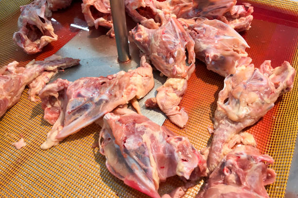 istock Raw Chicken Ribs on the container for sale 879591048