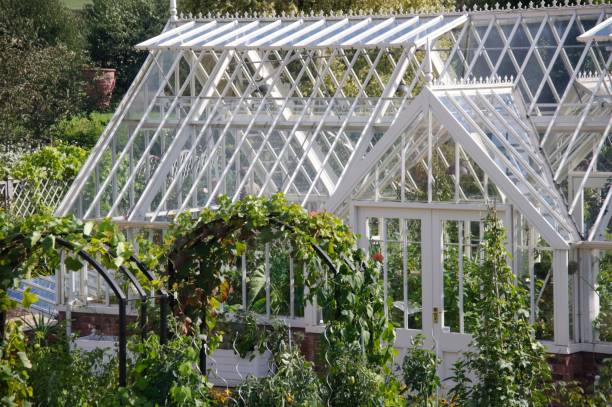 istock Greenhouse organic garden 879591196