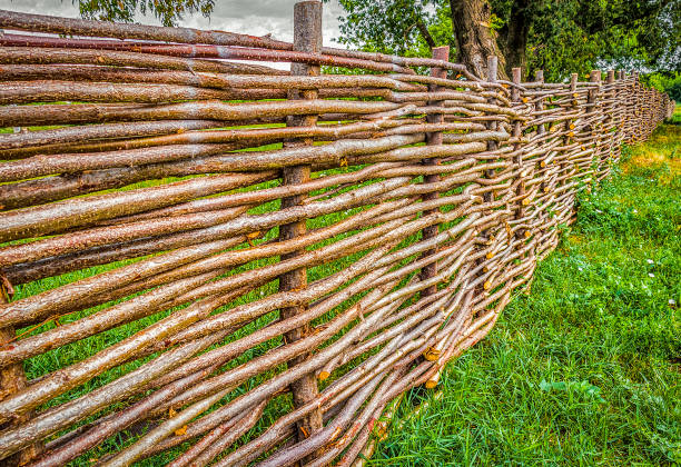 istock Rural wicker fence 879591530