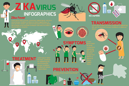 Zika virus infographic elements, transmission, prevention, symptoms and treatment, zika fever element vector concept.