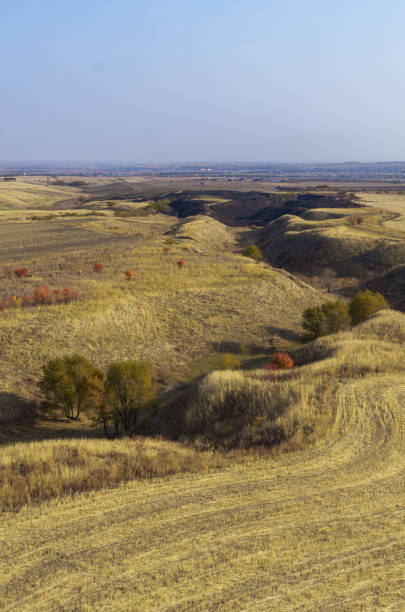 istock Colorful landscape field in autumn 879594940