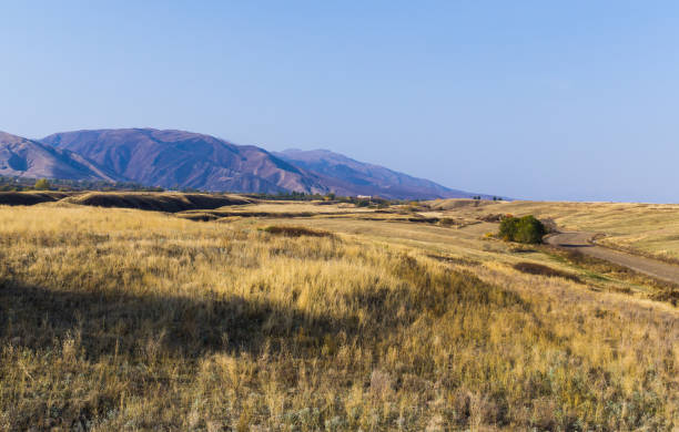 istock Colorful landscape field in autumn 879595324