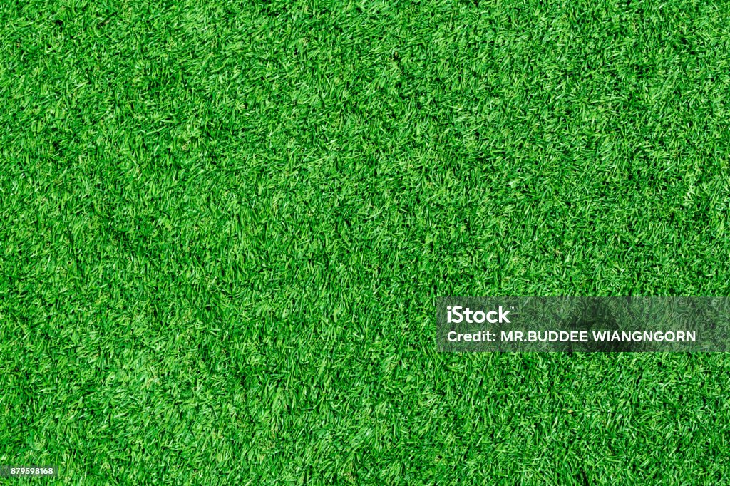 Artificial grass Artificial Stock Photo