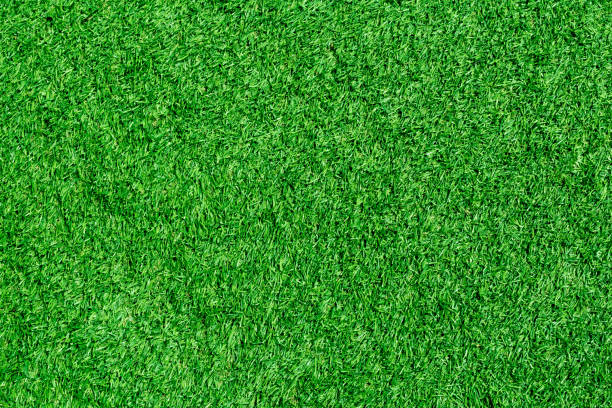 artificial grass - photography carpet floor high angle view imagens e fotografias de stock