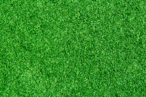 искусственная трава - soccer soccer field artificial turf man made material стоковые фото �и изображения