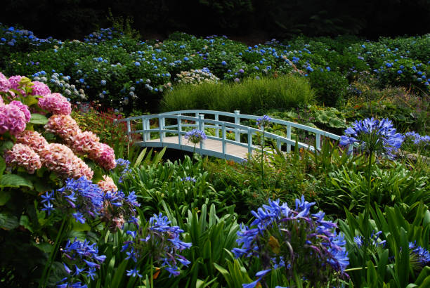 White Bridge at Trebah Garden