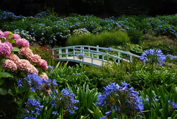 Photo of White Bridge at Trebah Garden