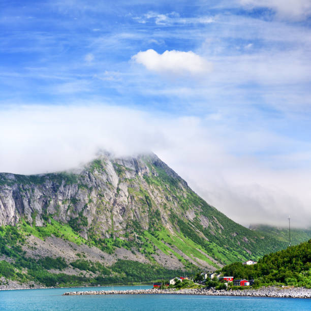 istock Island of Senja, Norway 879619502