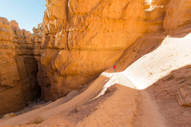 istock Wall Street, Bryce Canyon National Park 879624278
