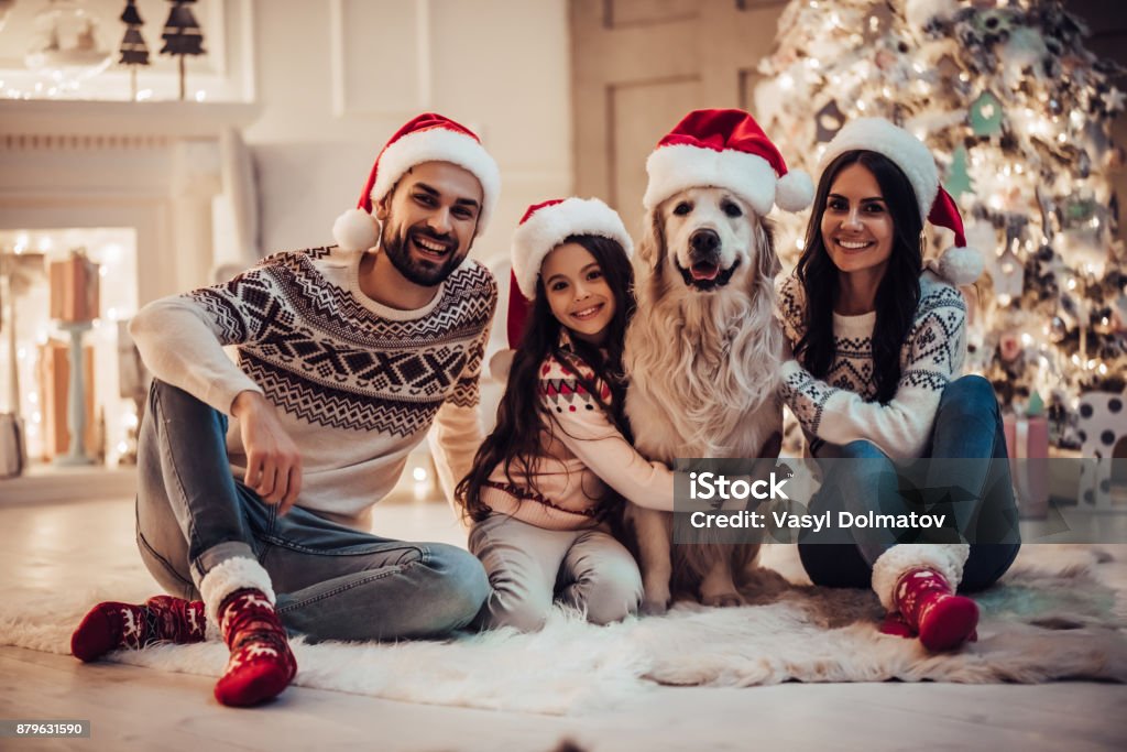 Happy family is waiting for the New Year in Santa Claus hats while sitting near beautiful Christmas tree at home. Merry Christmas and Happy New Year! Happy family with dog labrador retriever are waiting for the New Year in Santa Claus hats while sitting near beautiful Christmas tree at home. Christmas Stock Photo