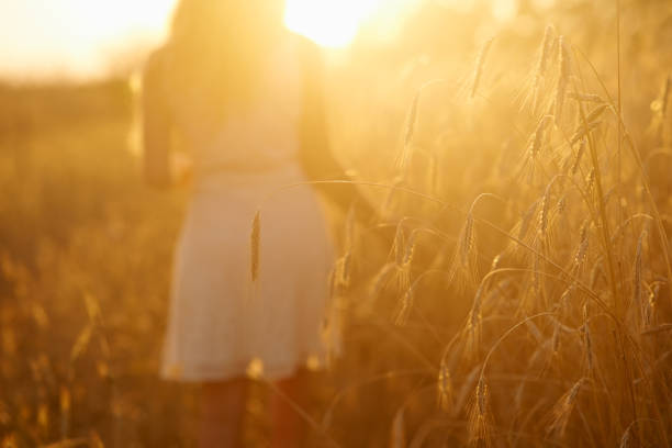 istock Go where your heart is truly free 879632282
