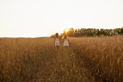 Shot of two carefree young friends walking through a wheat field together