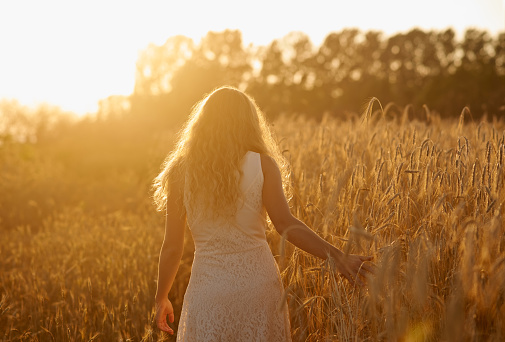 Rearview shot of a carefree young woman walking through a wheat field