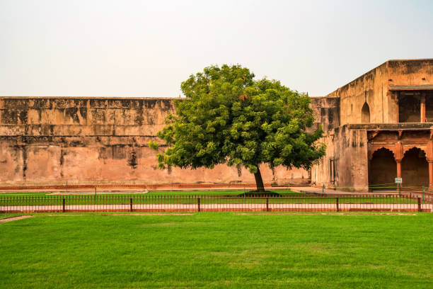 istock Jahangir Palace in Fort of Agra 879646480