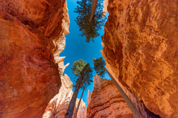 istock Wall Street, Bryce Canyon National Park 879652226