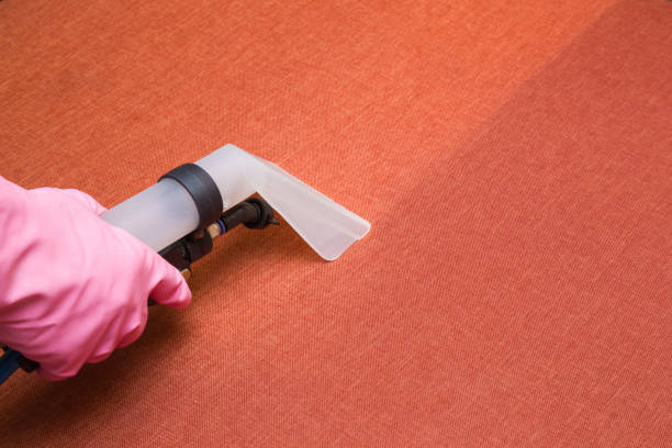 istock Dry cleaner's employee hand cleaning a sofa with professionally extraction method. Before and after. Textile upholstered furniture. Early spring regular cleanup. Commercial cleaning company concept. 879652430
