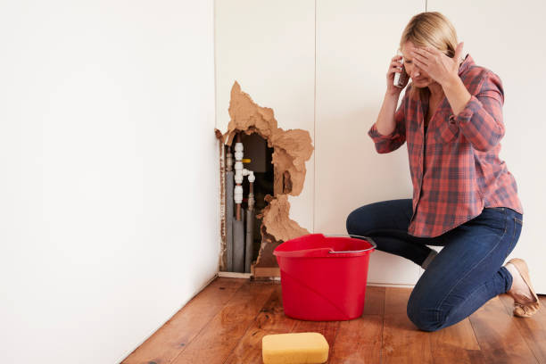 istock Middle aged woman with a burst water pipe phoning for help 879655670