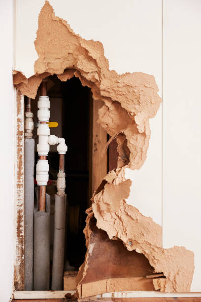 istock Damaged wall exposing burst water pipes after flood, vertical 879657248