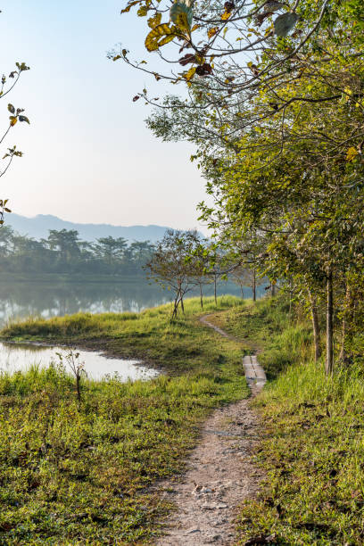 istock walkway near the lake 879659294