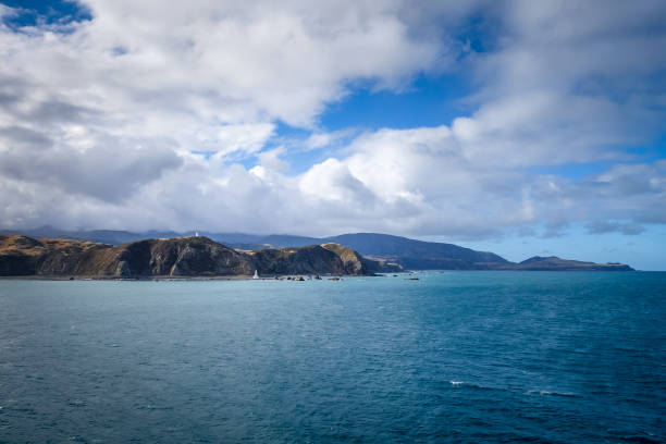 faro en los acantilados cerca de wellington, nueva zelanda - castlepoint fotografías e imágenes de stock