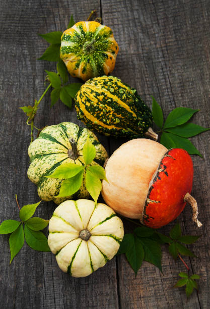 istock Pumpkins with autumn leaves 879669662