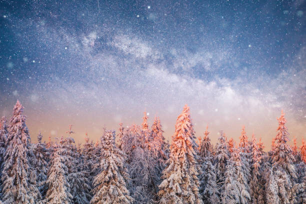 istock magical winter snow covered tree. Winter landscape. 879672184